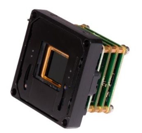 Uncooled thermal camera module